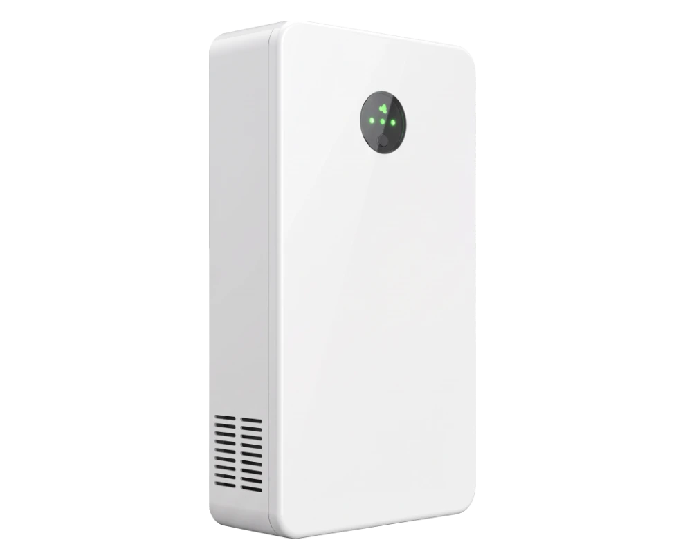 Wall-Mounted Lithium Battery 51.2 V